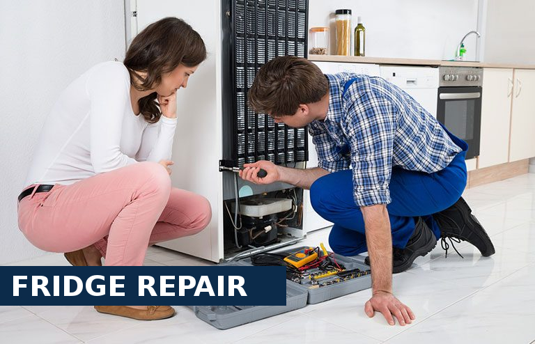 Fridge Repair Goffs Oak